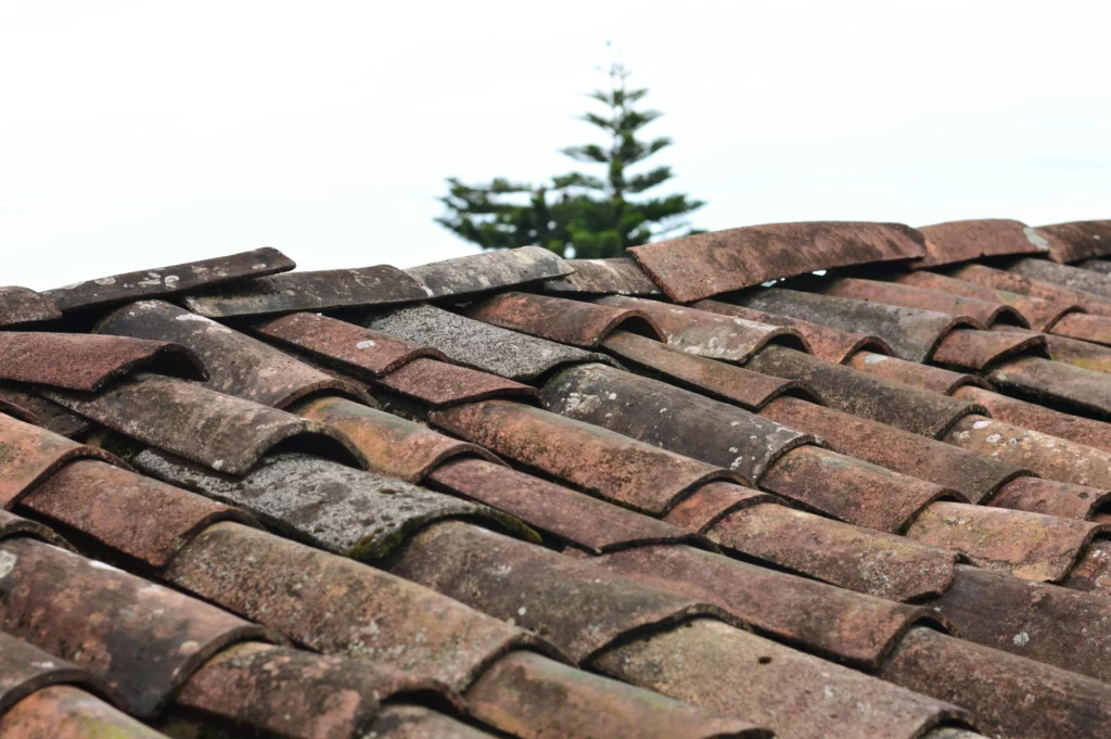Toiture en tuiles anciennes avec signes d'usure - RenovSmart Toiture en tuiles anciennes avec des zones légèrement usées et des traces de mousse.